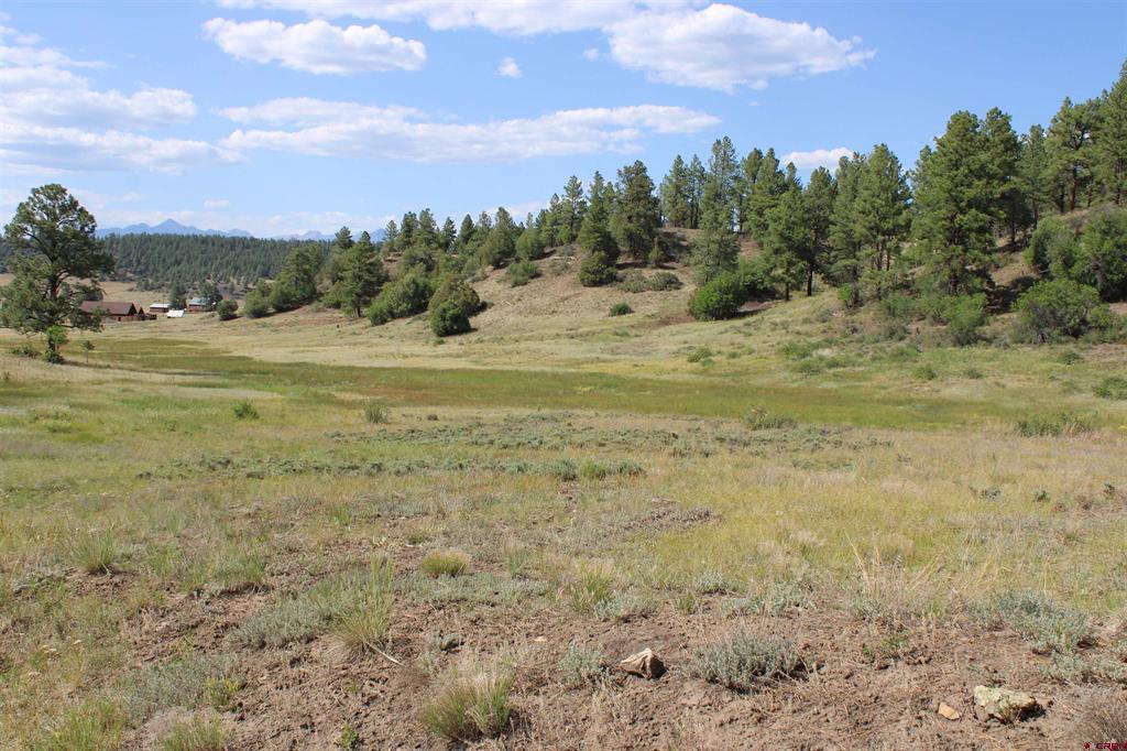 1458 Loma Linda Drive Pagosa Springs CO 81147