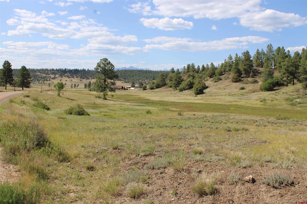 1458 Loma Linda Drive Pagosa Springs CO 81147