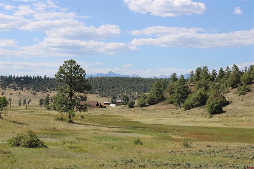 1458 Loma Linda Drive Pagosa Springs CO 81147