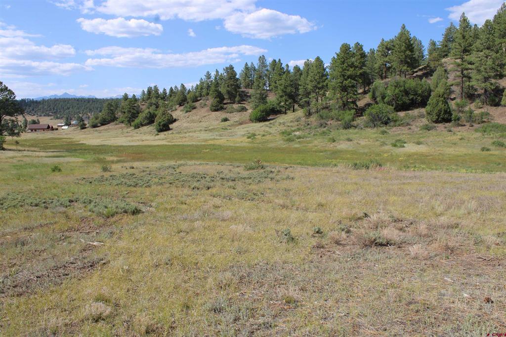 1458 Loma Linda Drive Pagosa Springs CO 81147