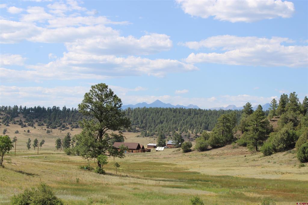 1458 Loma Linda Drive Pagosa Springs CO 81147