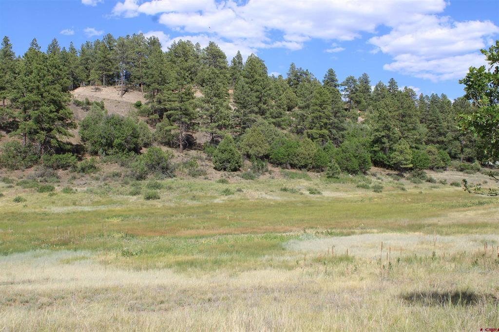 1458 Loma Linda Drive Pagosa Springs CO 81147