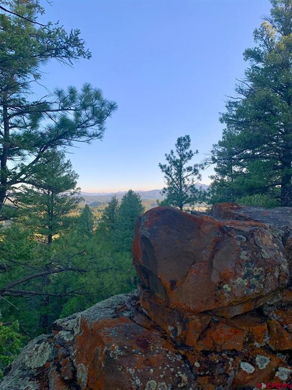 201 Pineview Road Pagosa Springs CO 81147