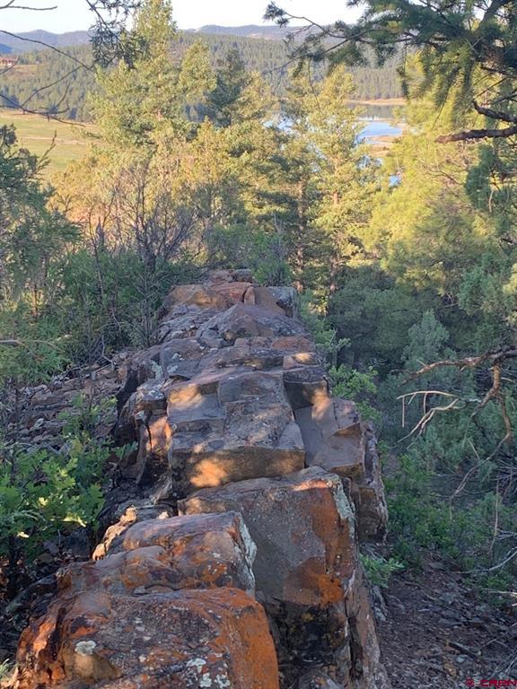 201 Pineview Road Pagosa Springs CO 81147