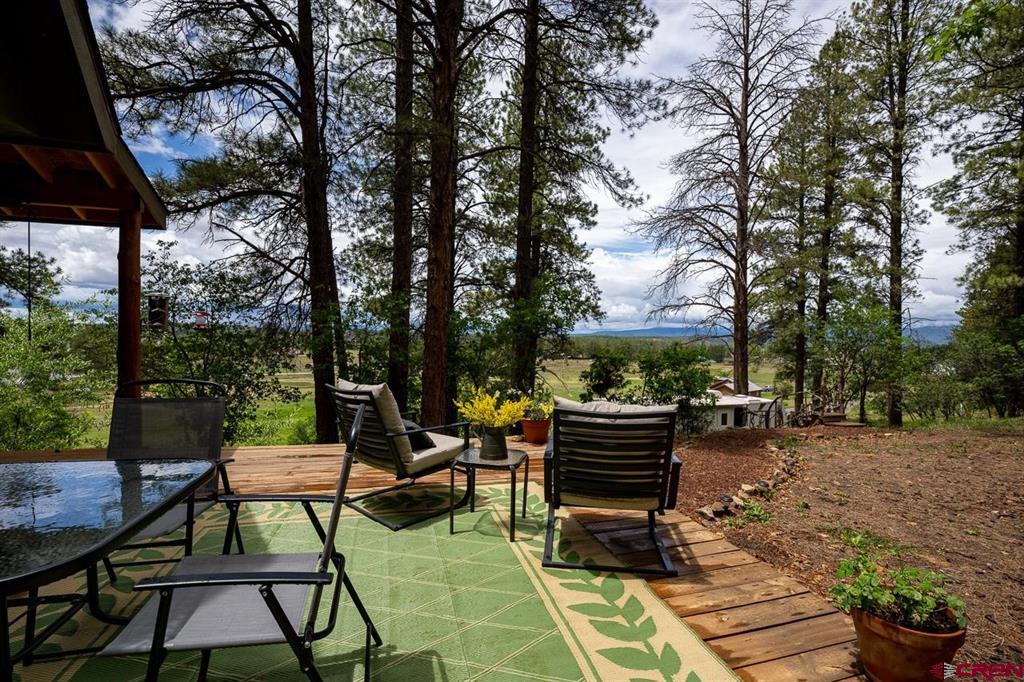 201 Pineview Road Pagosa Springs CO 81147