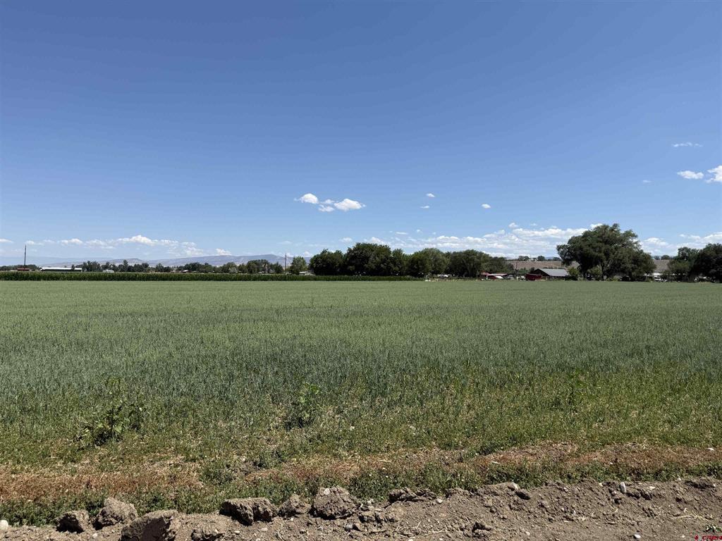 Tbd Orange Rd And 6400 Road Montrose CO 81403