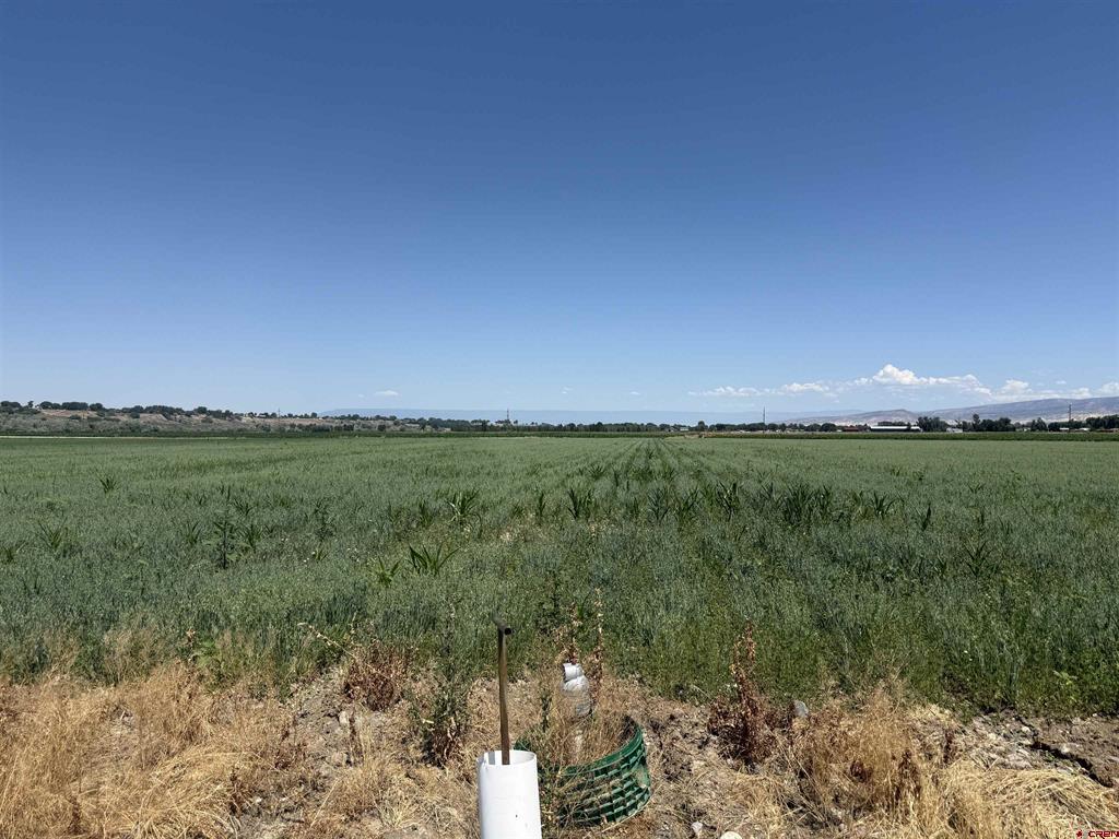 Tbd Orange Rd And 6400 Road Montrose CO 81403