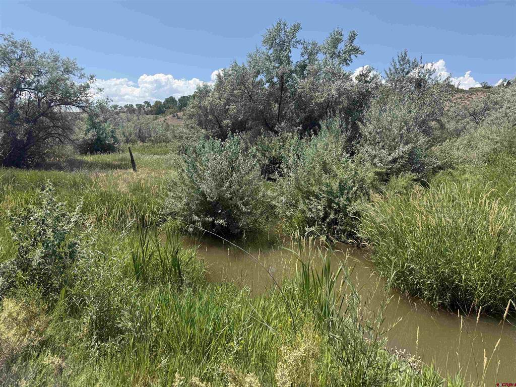 Tbd Orange Rd And 6400 Road Montrose CO 81403