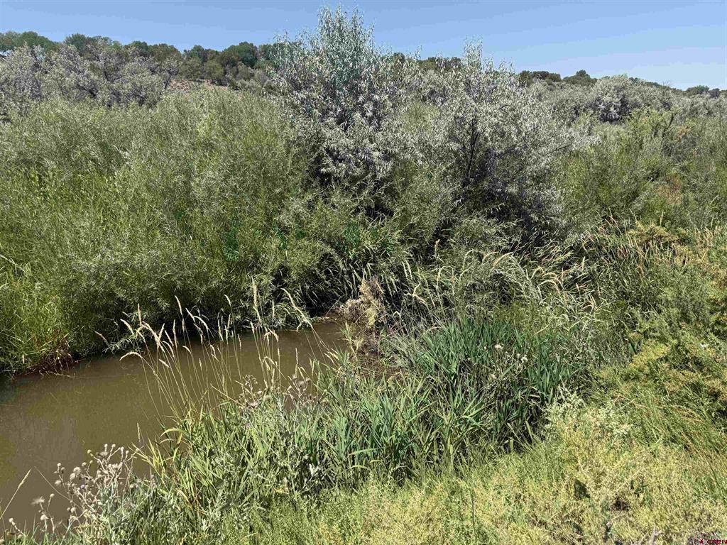 Tbd Orange Rd And 6400 Road Montrose CO 81403