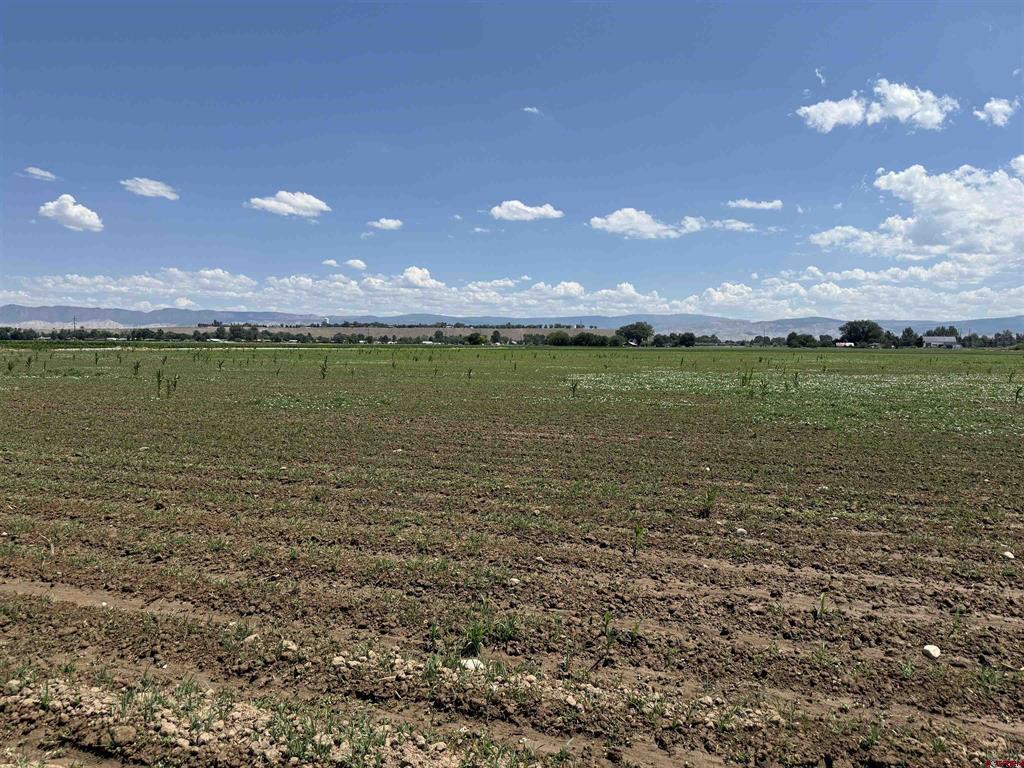 Tbd Orange Rd And 6400 Road Montrose CO 81403