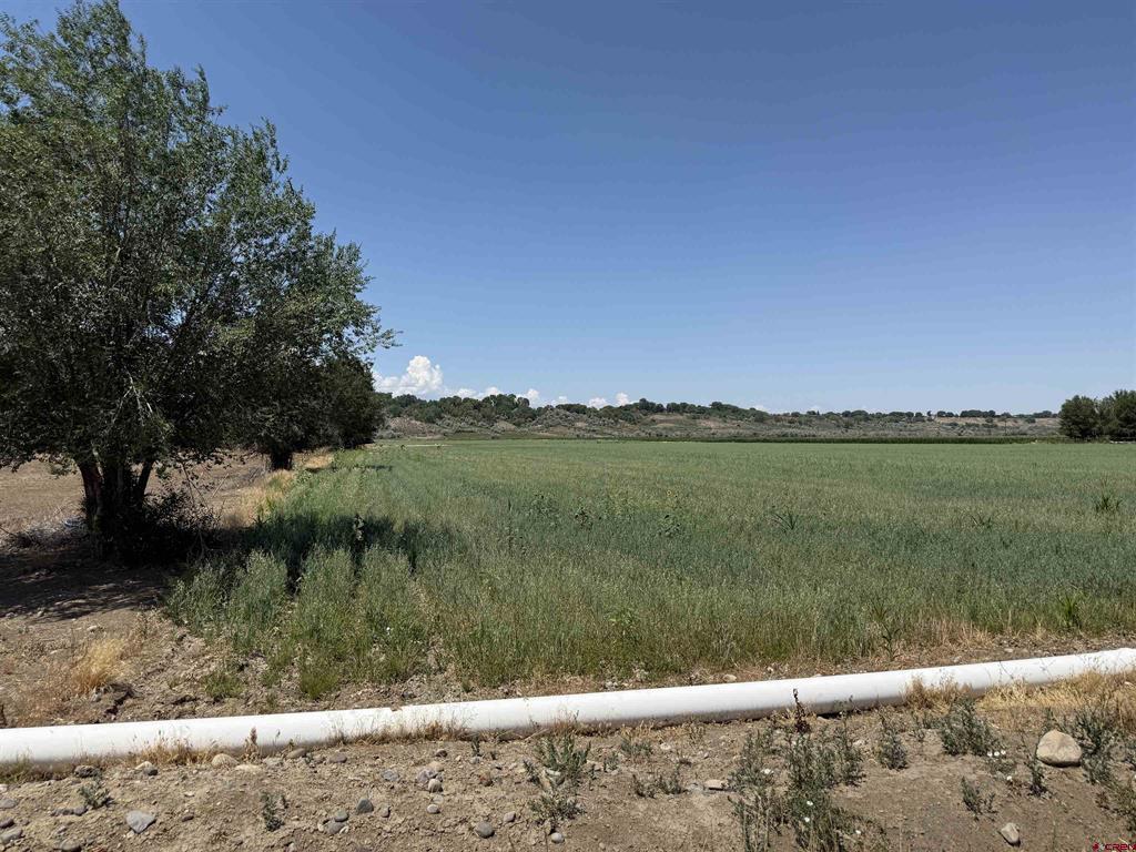 Tbd Orange Rd And 6400 Road Montrose CO 81403