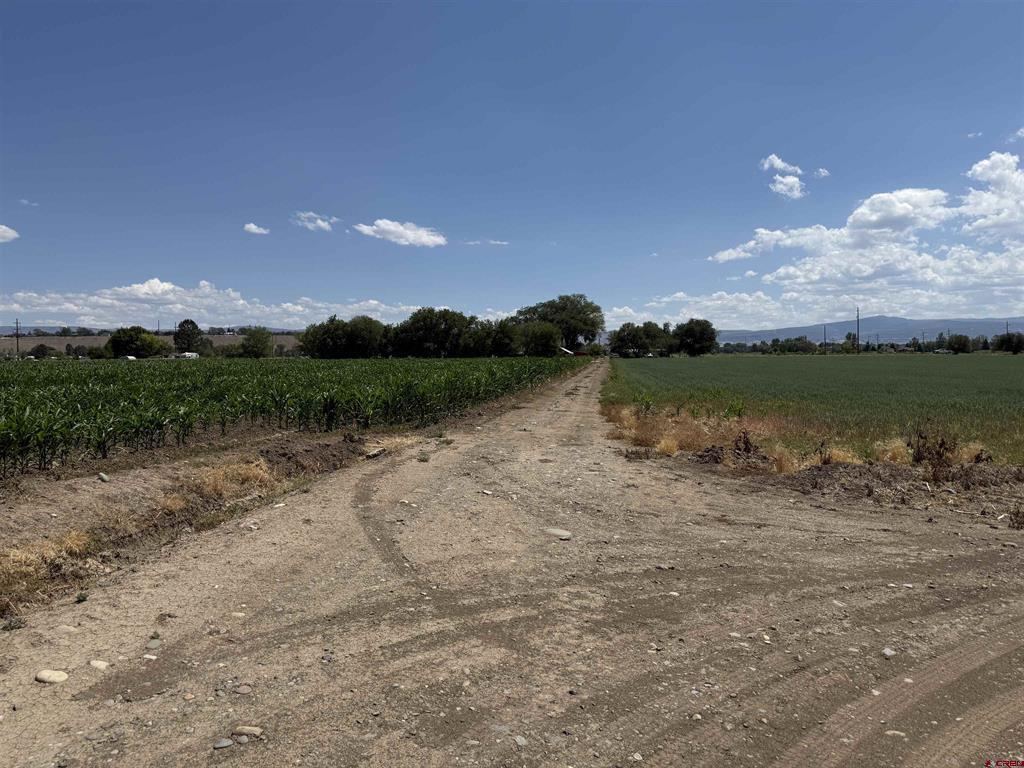 Tbd Orange Rd And 6400 Road Montrose CO 81403