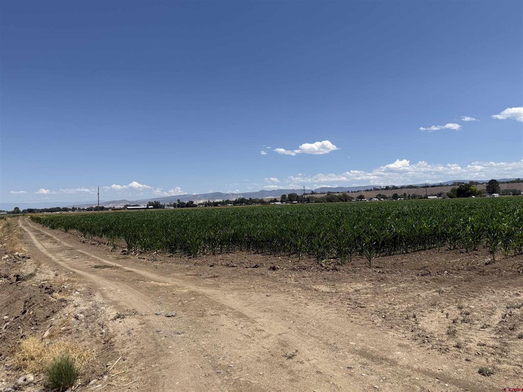 Tbd Orange Rd And 6400 Road Montrose CO 81403