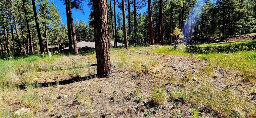 361 Hogan Circle Durango CO 81301