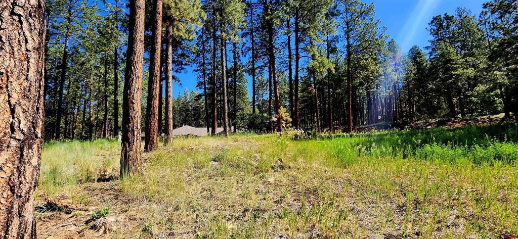 361 Hogan Circle Durango CO 81301