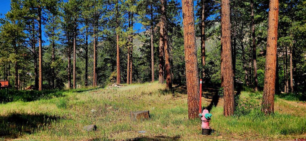 361 Hogan Circle Durango CO 81301