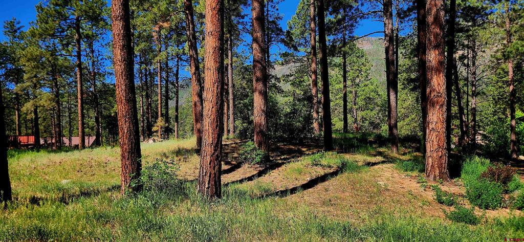 361 Hogan Circle Durango CO 81301