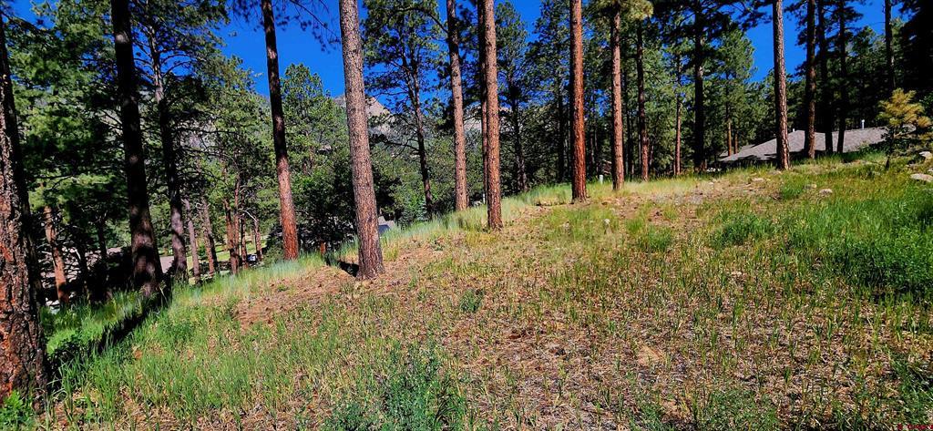 361 Hogan Circle Durango CO 81301