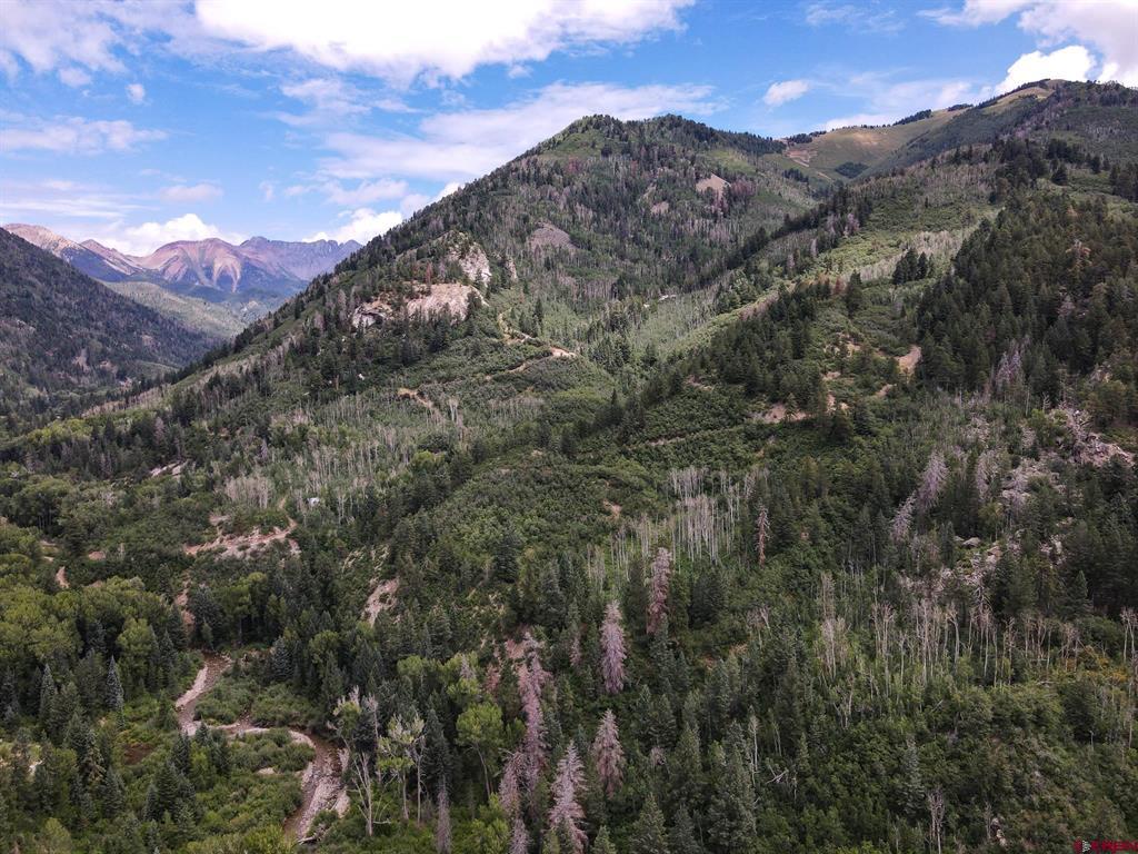 Tbdwp County Road 124 Hesperus CO 81326