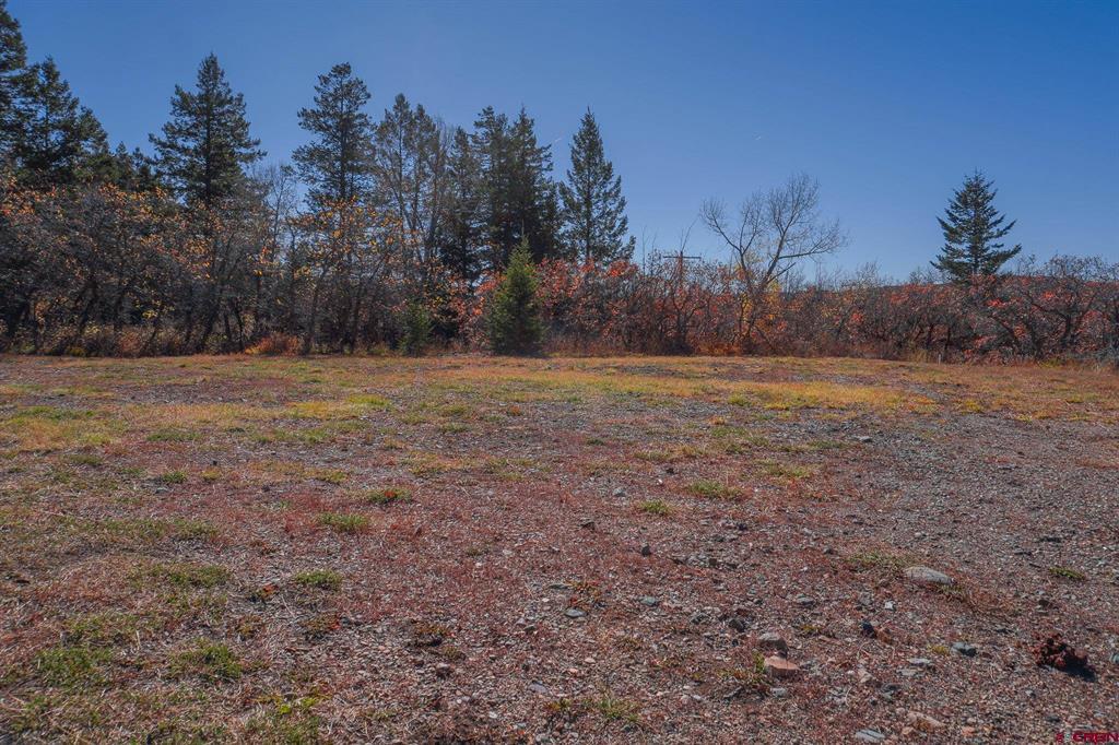 Tbdwp County Road 124 Hesperus CO 81326