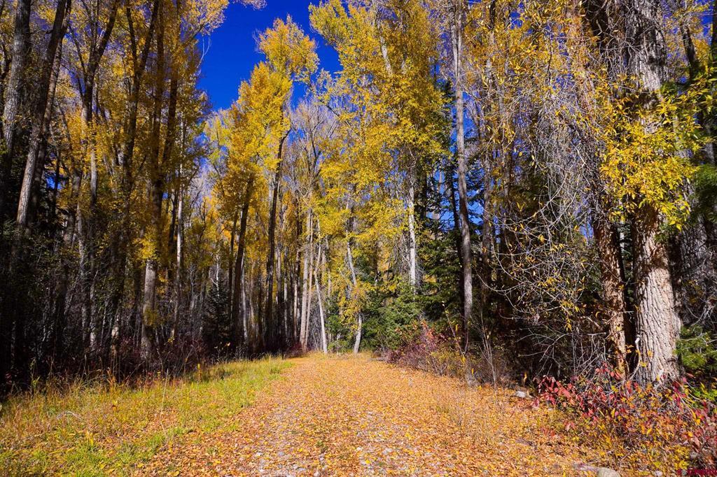 Tbdwp County Road 124 Hesperus CO 81326