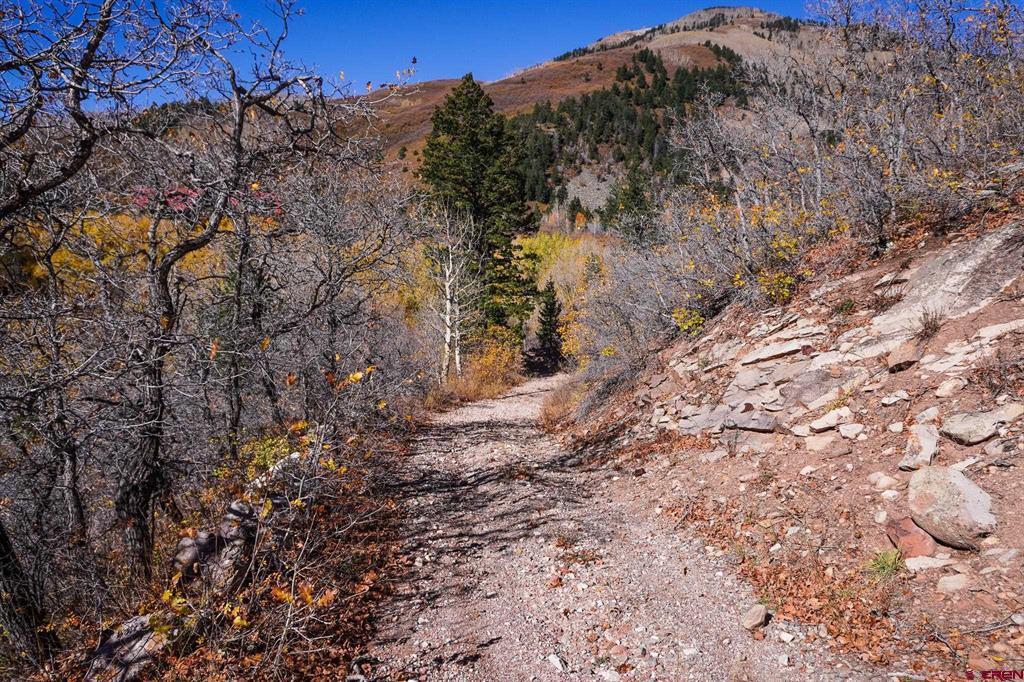 Tbdwp County Road 124 Hesperus CO 81326