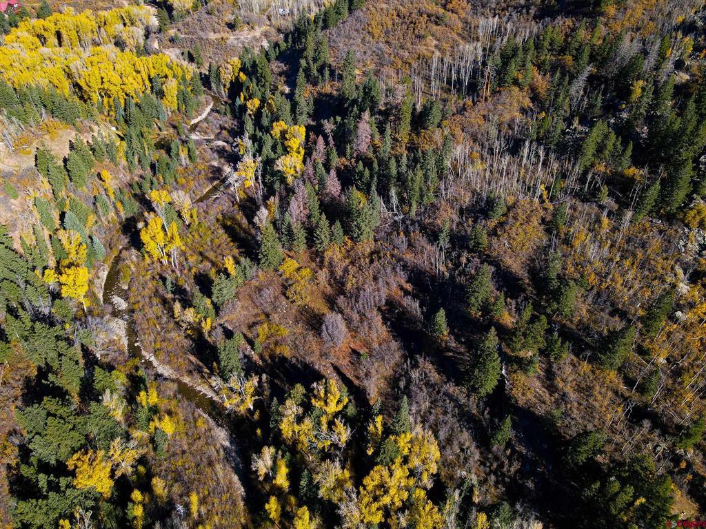 Tbdwp County Road 124 Hesperus CO 81326