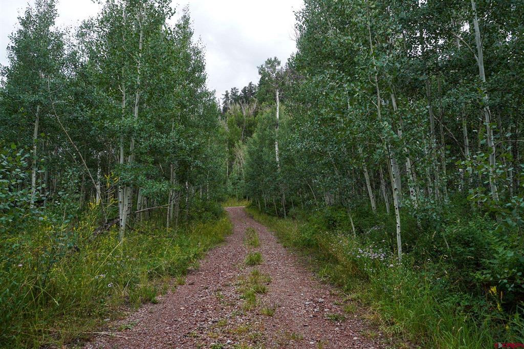 Tbdwp County Road 124 Hesperus CO 81326