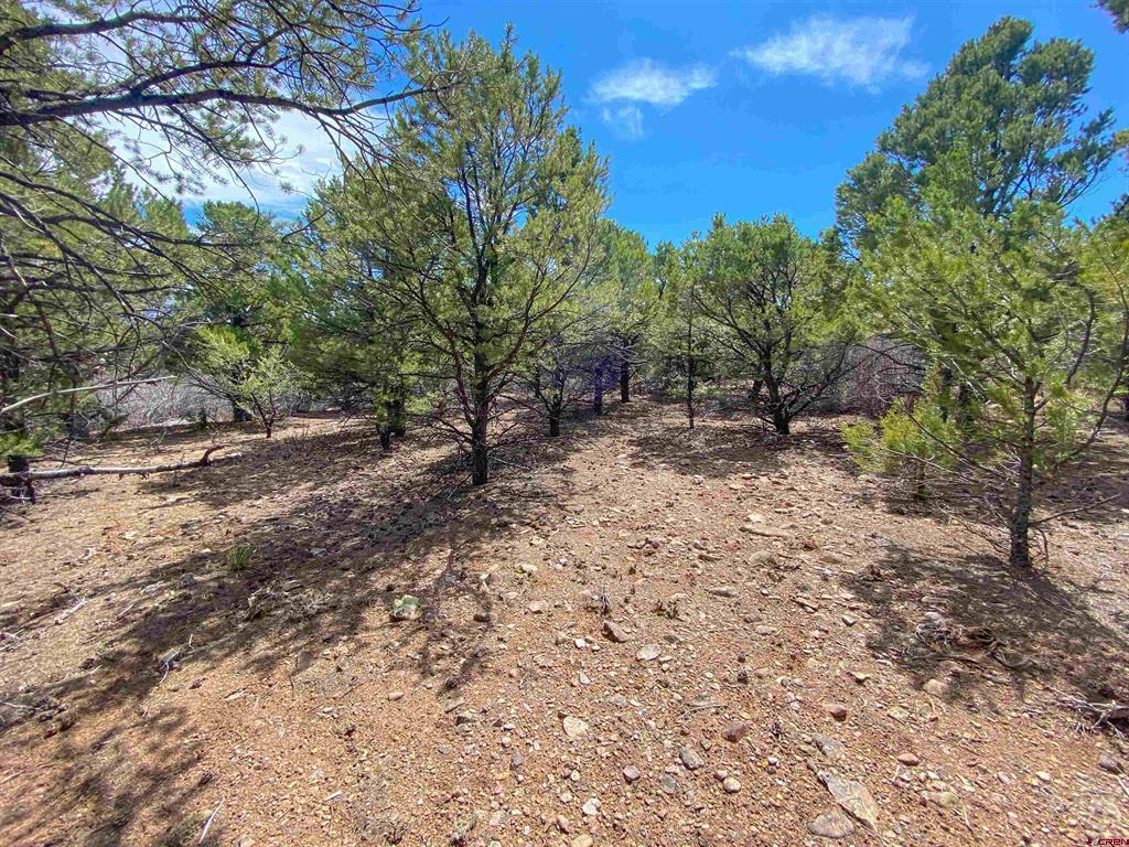 Tbd (Lot 37) Pine Drive Ridgway CO 81432