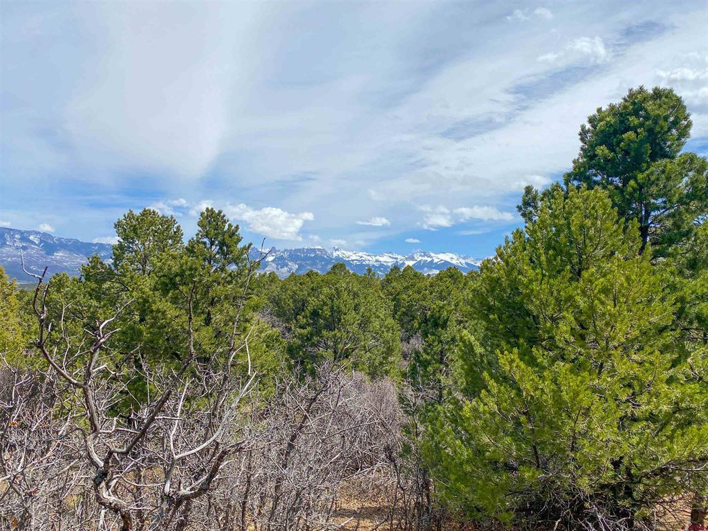 Tbd (Lot 37) Pine Drive Ridgway CO 81432