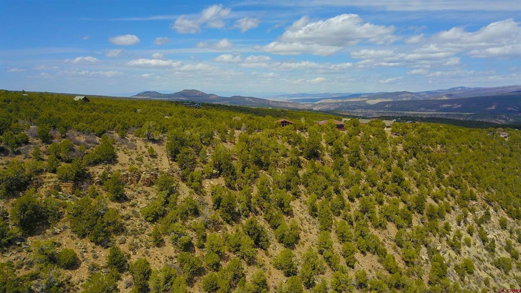Tbd (Lot 37) Pine Drive Ridgway CO 81432