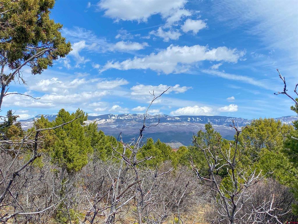 Tbd (Lot 37) Pine Drive Ridgway CO 81432