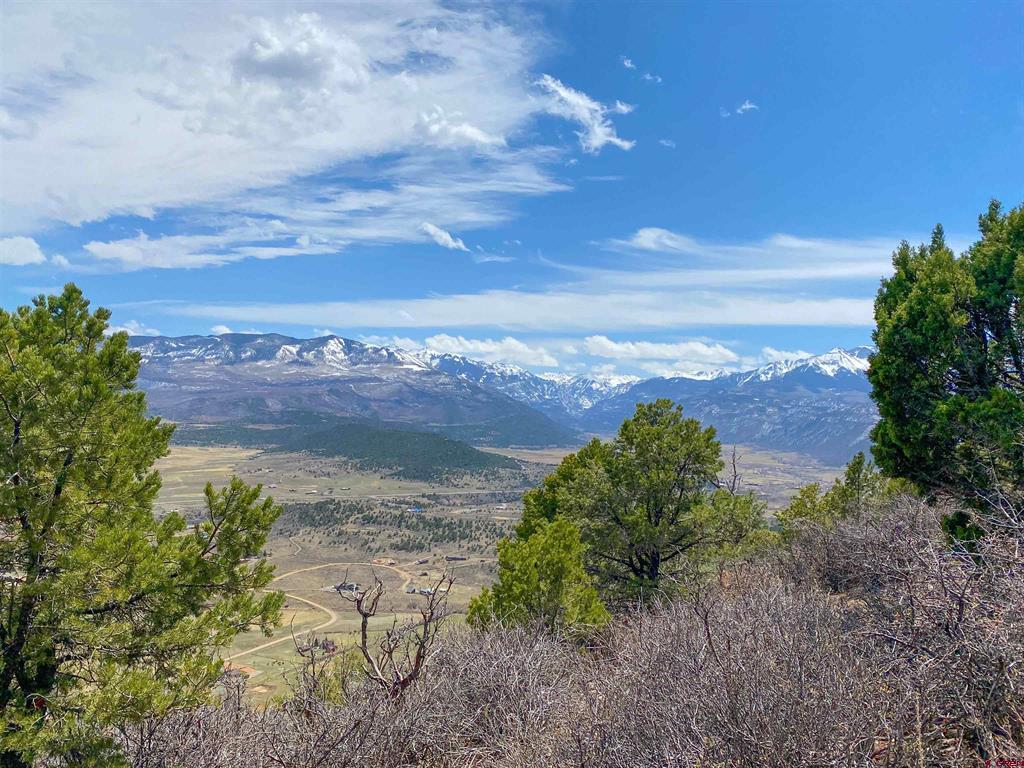 Tbd (Lot 37) Pine Drive Ridgway CO 81432