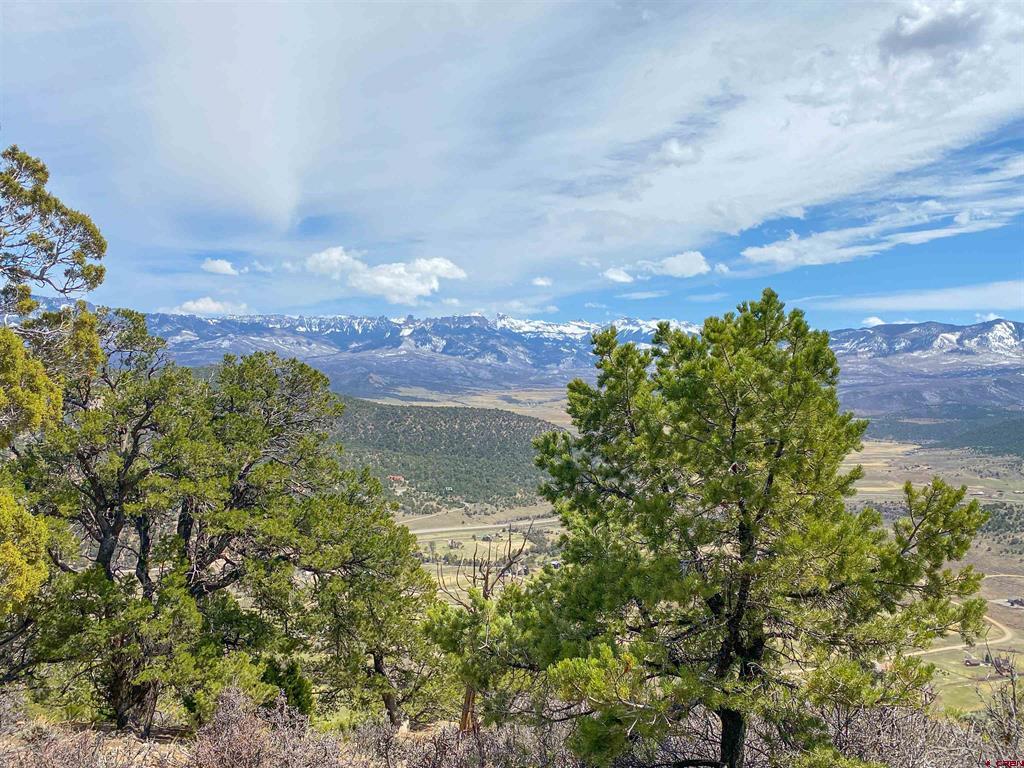 Tbd (Lot 37) Pine Drive Ridgway CO 81432