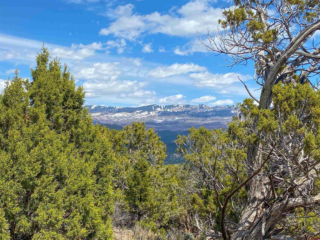 Tbd (Lot 37) Pine Drive Ridgway CO 81432
