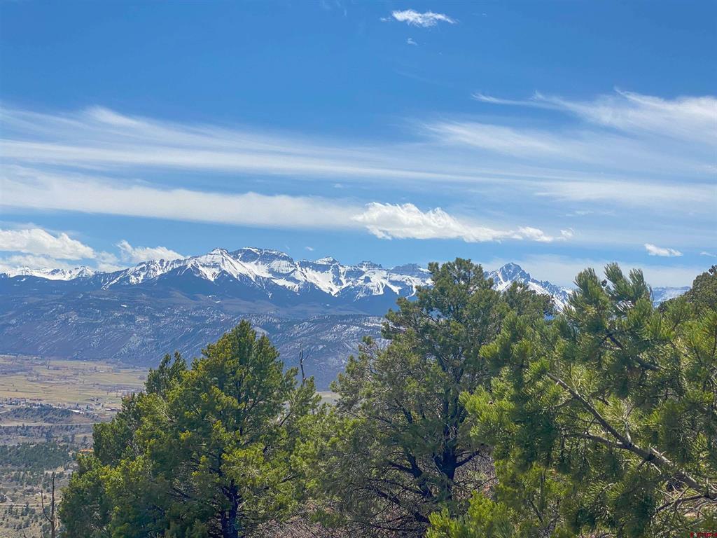 Tbd (Lot 37) Pine Drive Ridgway CO 81432