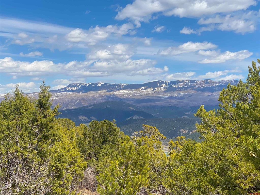 Tbd (Lot 37) Pine Drive Ridgway CO 81432