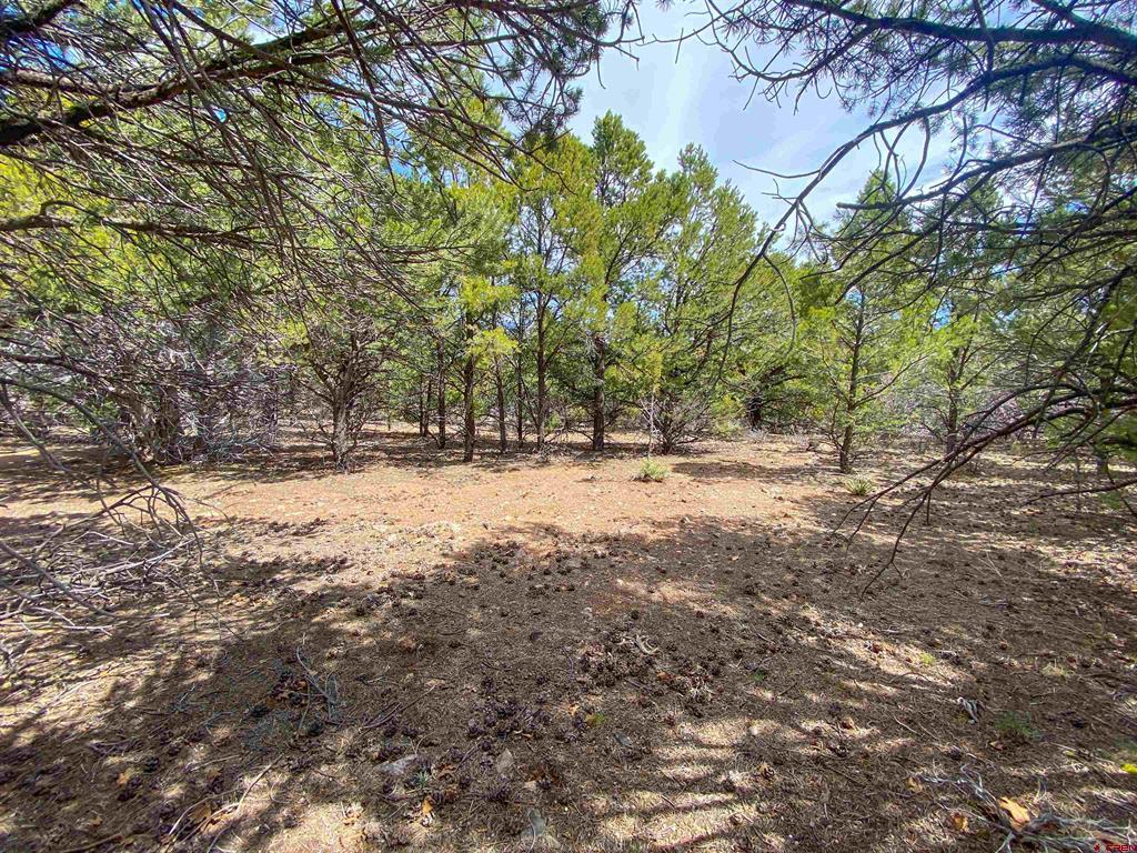 Tbd (Lot 37) Pine Drive Ridgway CO 81432