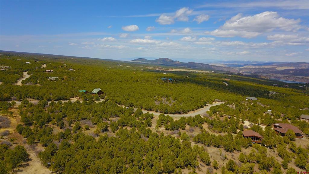 Tbd (Lot 37) Pine Drive Ridgway CO 81432