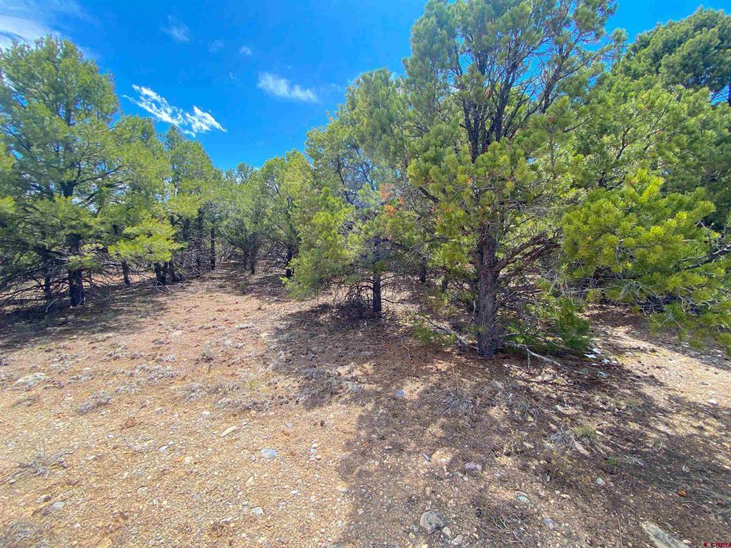 Tbd (Lot 37) Pine Drive Ridgway CO 81432
