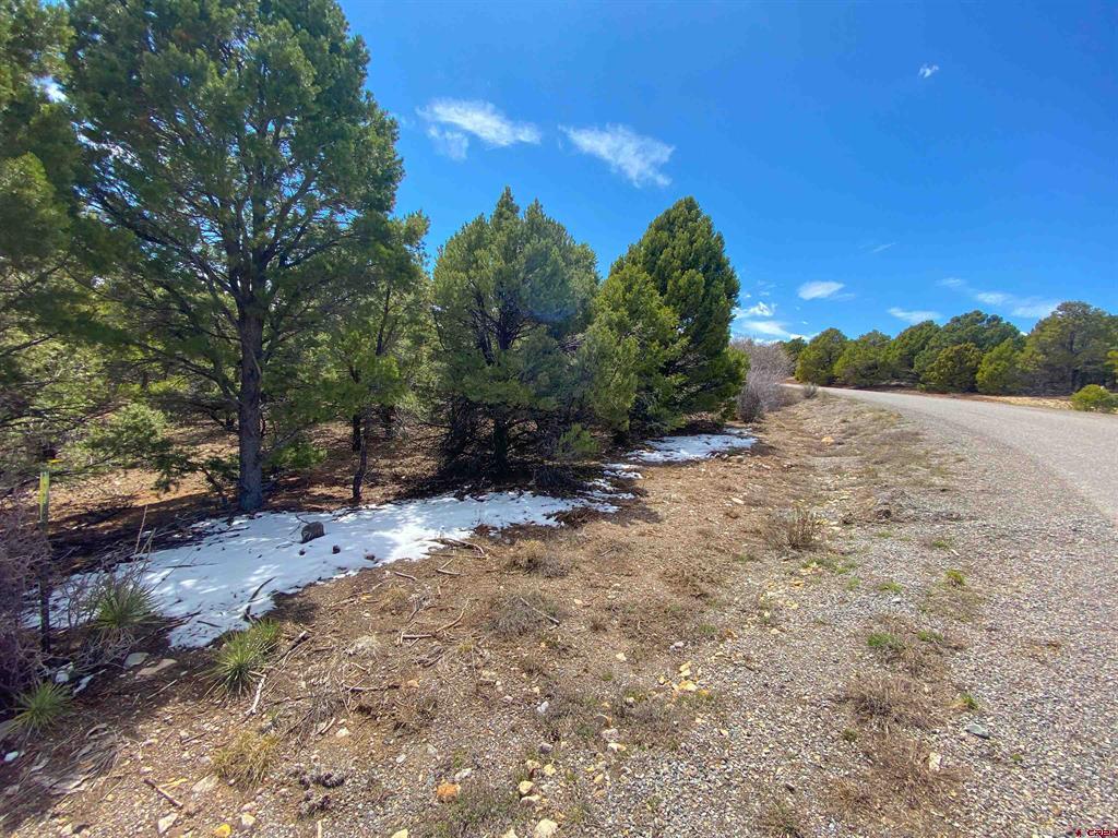 Tbd (Lot 37) Pine Drive Ridgway CO 81432