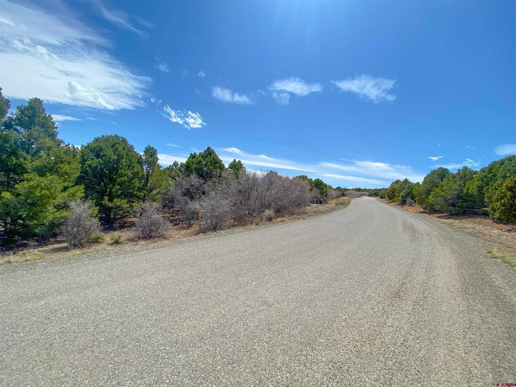 Tbd (Lot 37) Pine Drive Ridgway CO 81432