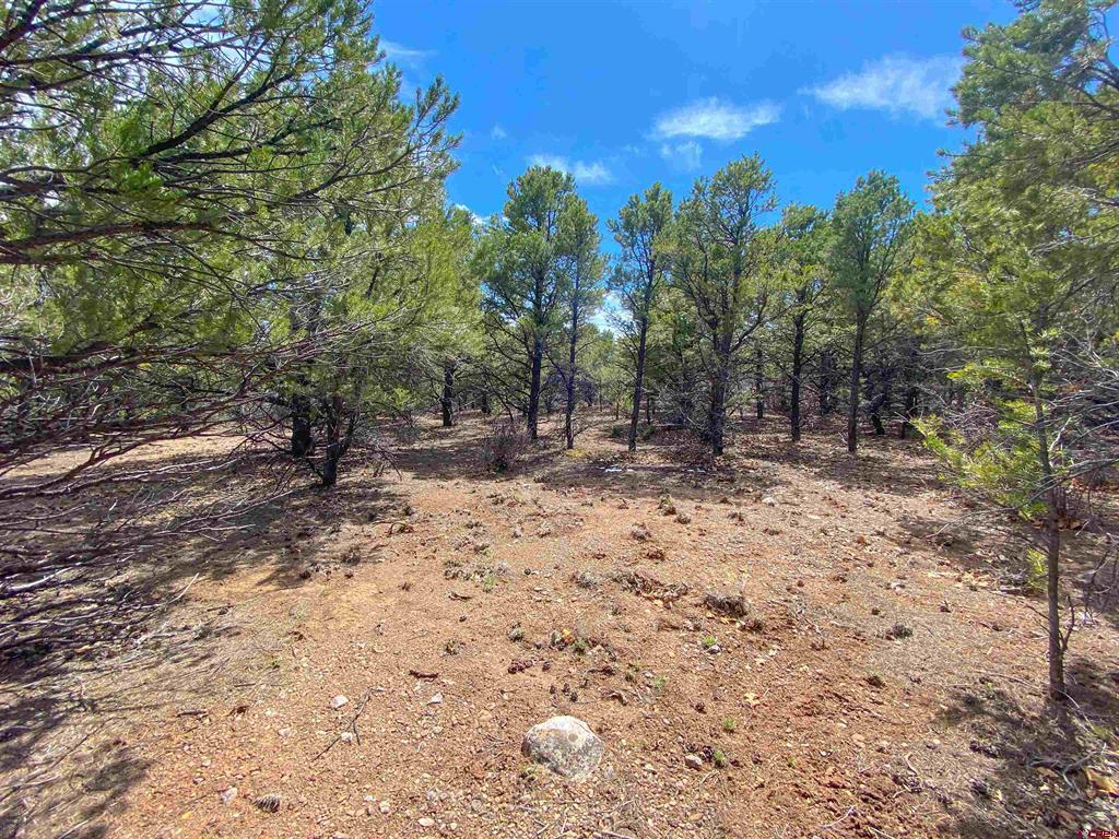 Tbd (Lot 37) Pine Drive Ridgway CO 81432