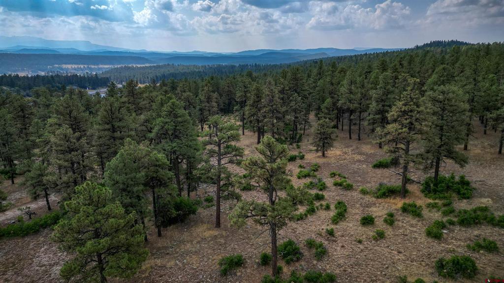 1855 W Us Highway 160 Pagosa Springs CO 81147