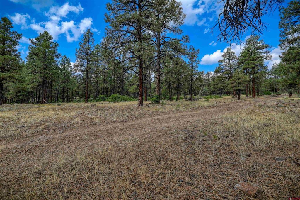 1855 W Us Highway 160 Pagosa Springs CO 81147