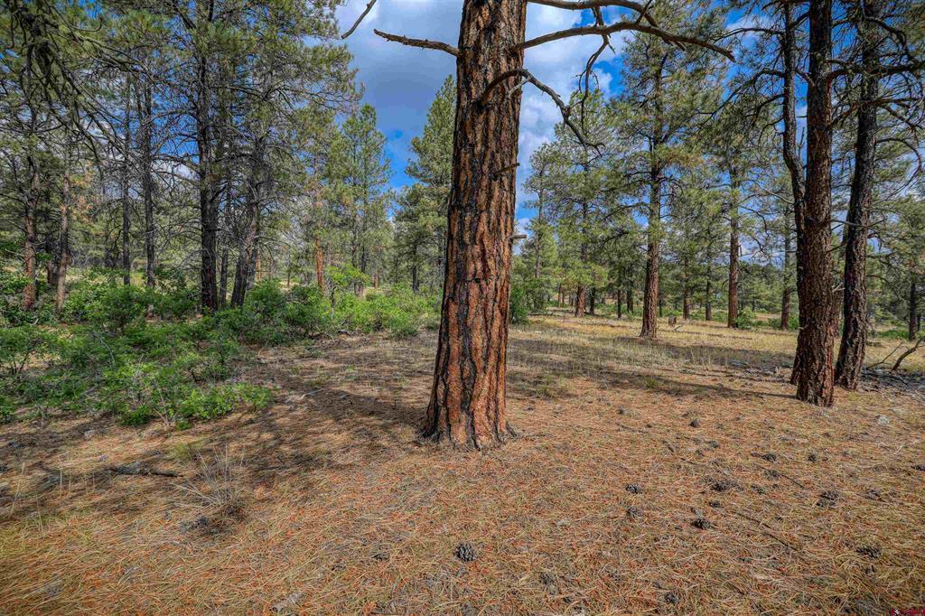 1855 W Us Highway 160 Pagosa Springs CO 81147
