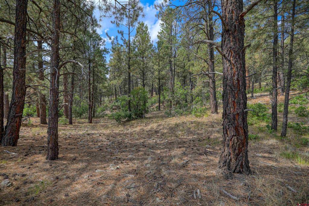 1855 W Us Highway 160 Pagosa Springs CO 81147
