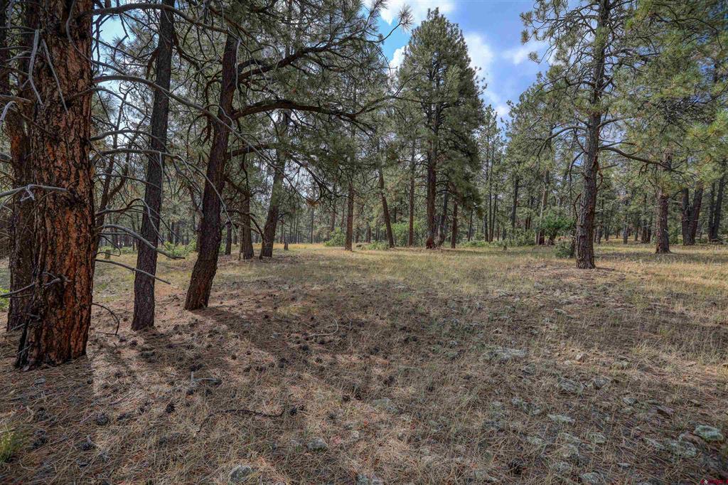 1855 W Us Highway 160 Pagosa Springs CO 81147