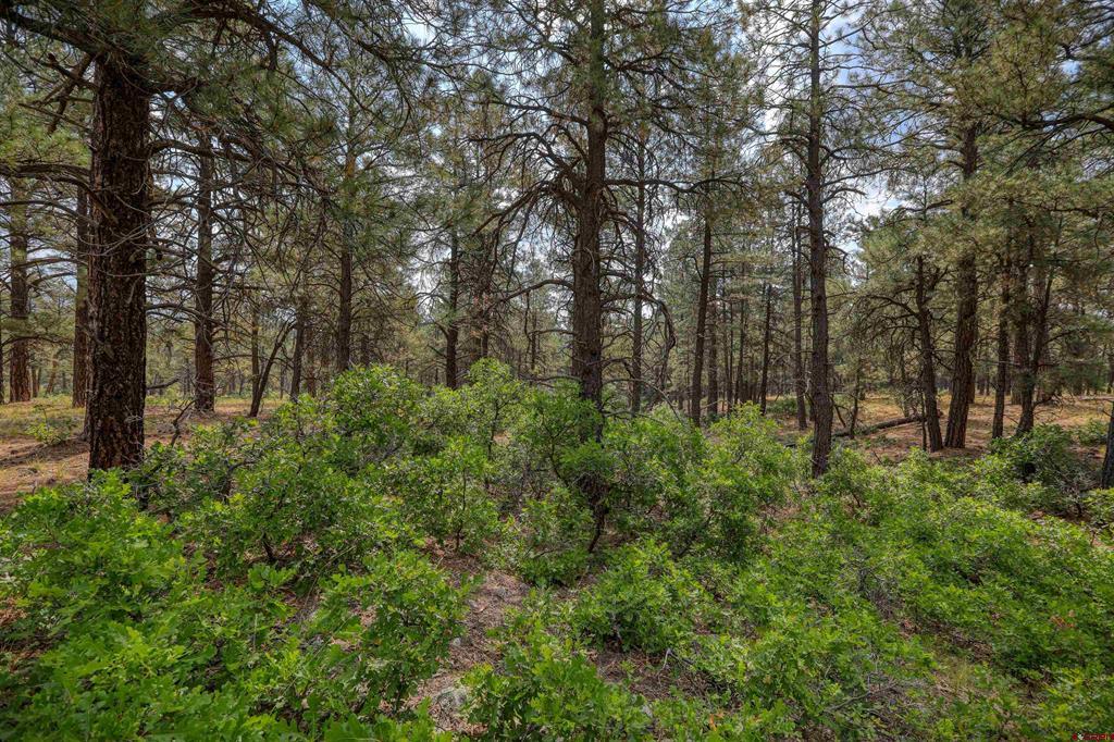 1855 W Us Highway 160 Pagosa Springs CO 81147