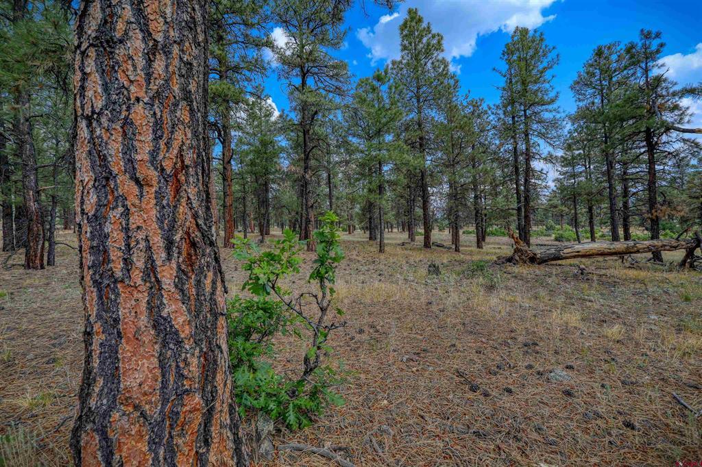 1855 W Us Highway 160 Pagosa Springs CO 81147